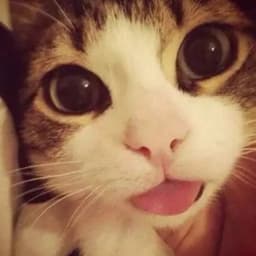 Аватар Егора